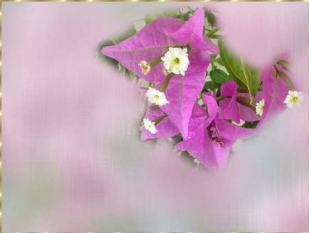 La connaissance.....